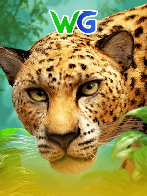5757Win slots online